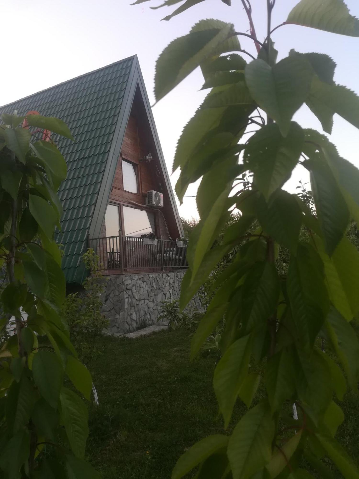 Vrnjačka Banja Banjska Brvnara 빌라 외부 사진